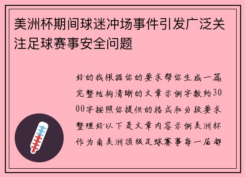 美洲杯期间球迷冲场事件引发广泛关注足球赛事安全问题 美洲杯期间球迷冲场事件引发广泛关注足球赛事安全问题